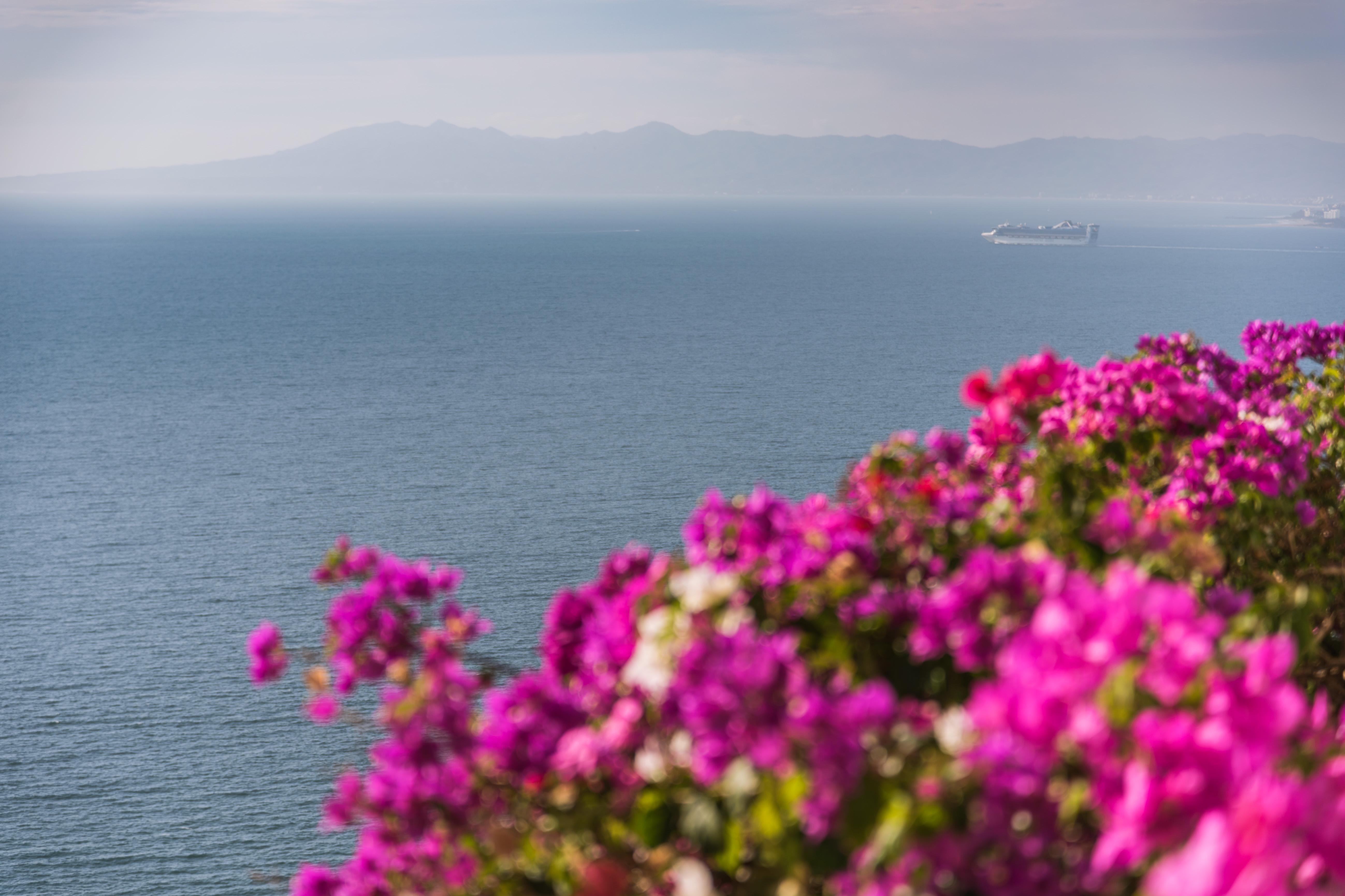 Grand Miramar All Luxury Suites&Residences Puerto Vallarta Extérieur photo