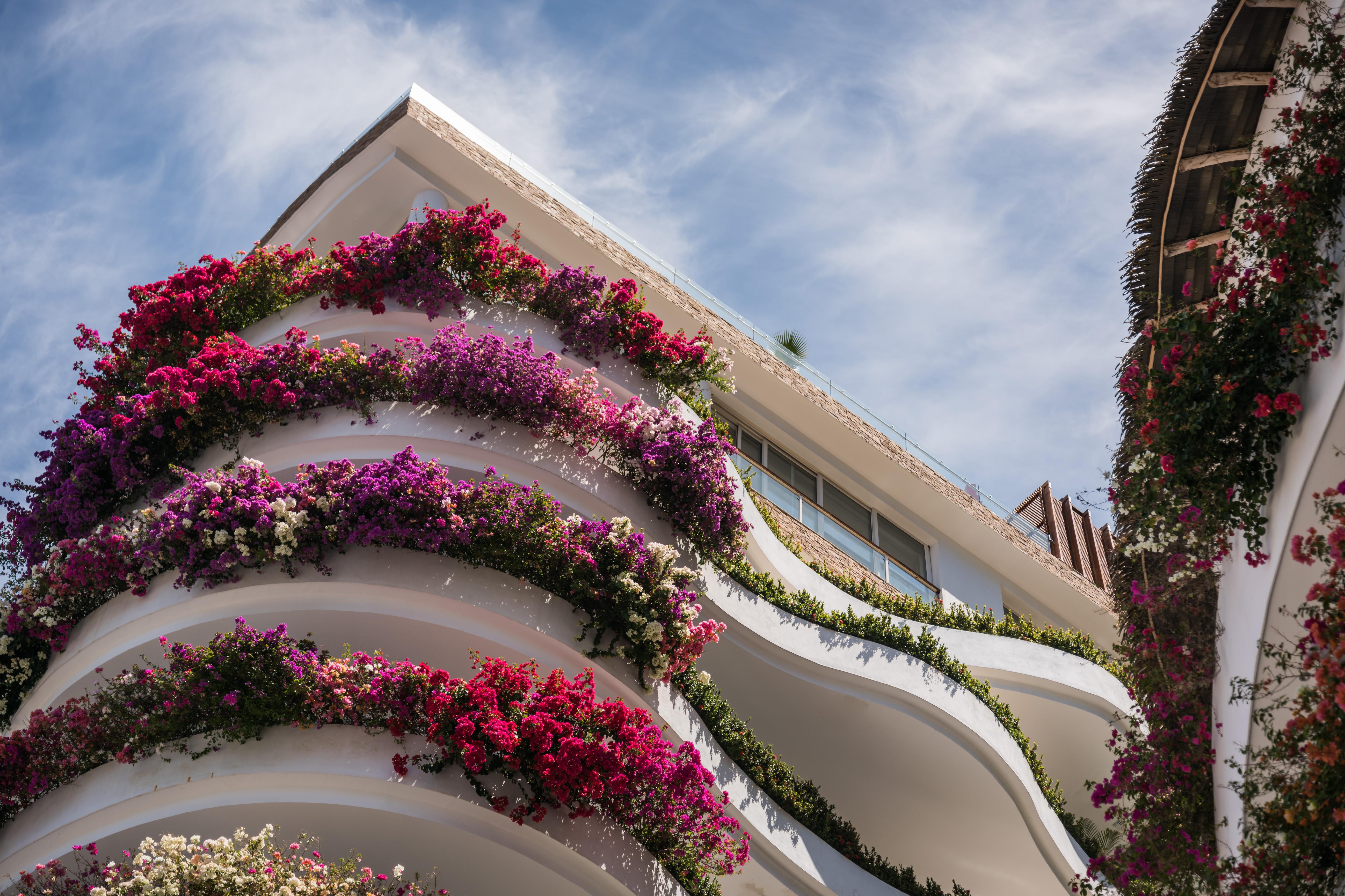 Grand Miramar All Luxury Suites&Residences Puerto Vallarta Extérieur photo