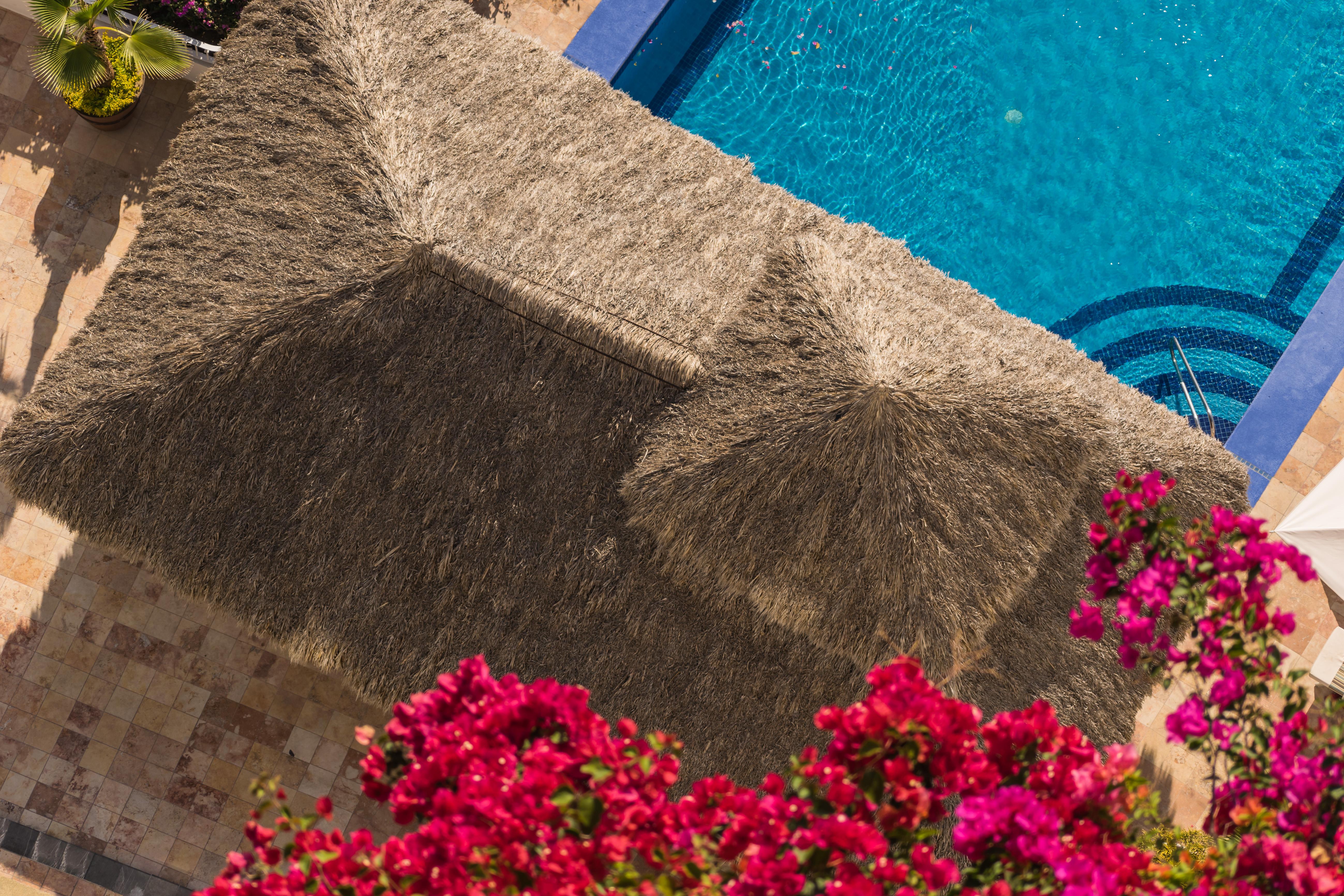 Grand Miramar All Luxury Suites&Residences Puerto Vallarta Extérieur photo