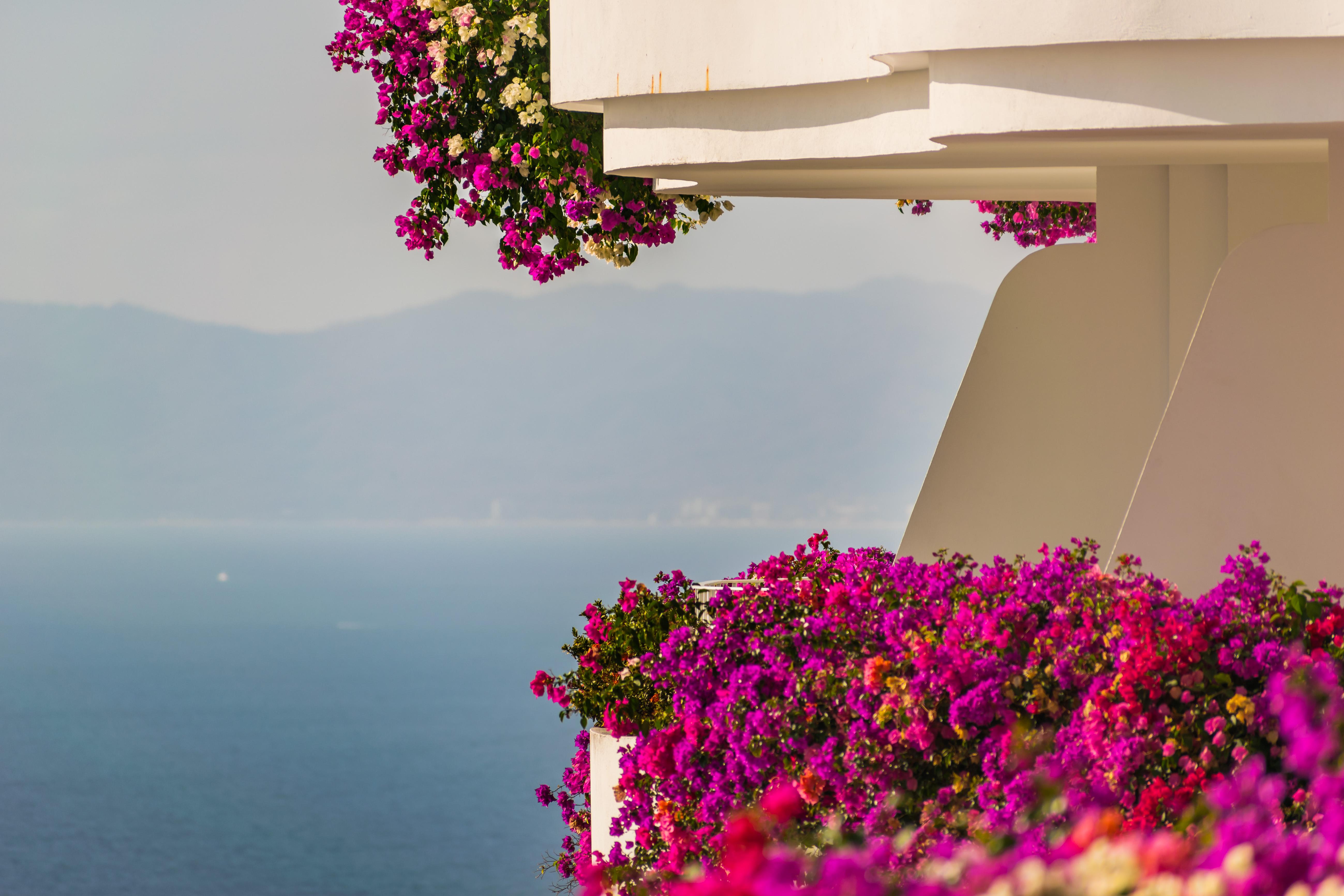 Grand Miramar All Luxury Suites&Residences Puerto Vallarta Extérieur photo