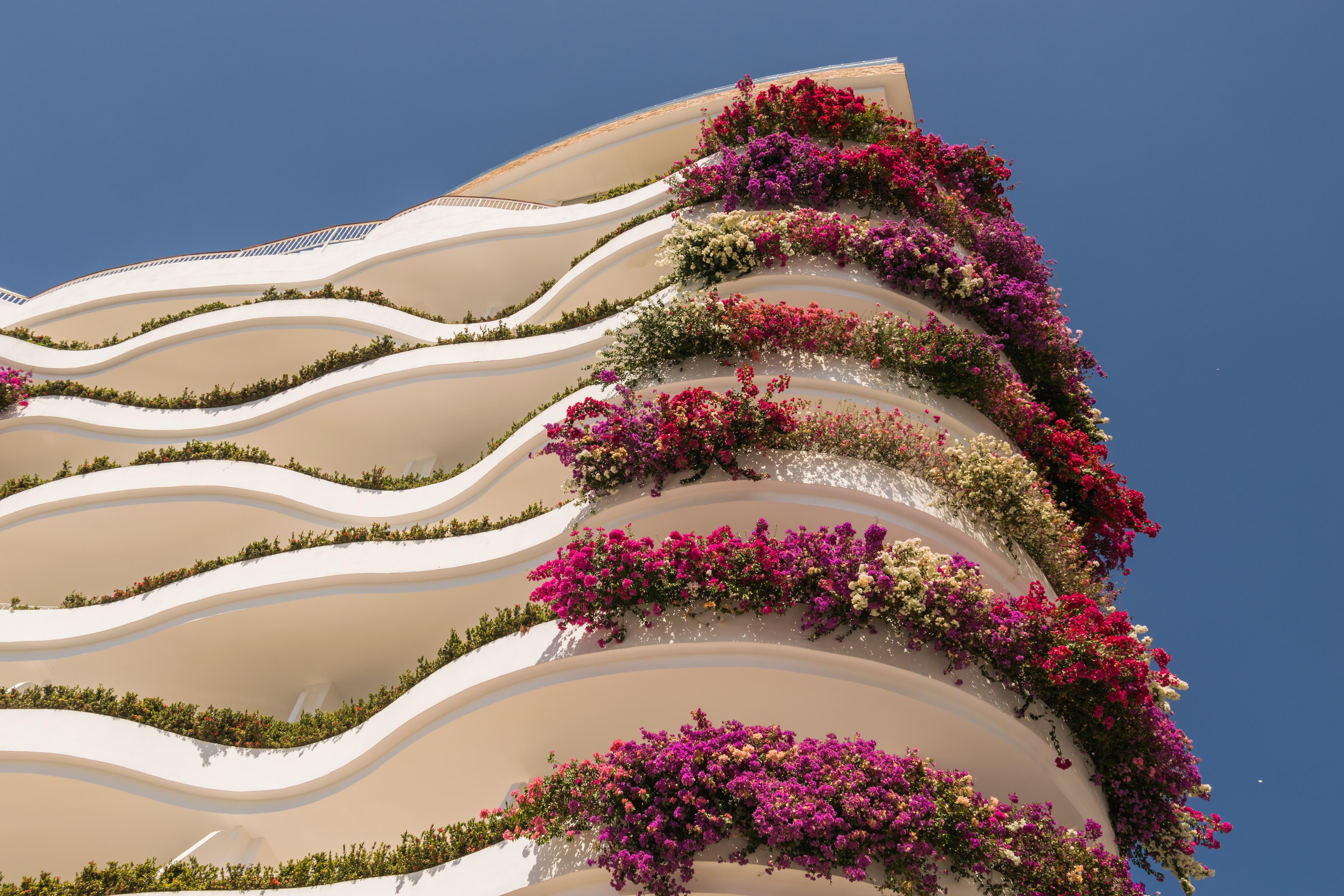 Grand Miramar All Luxury Suites&Residences Puerto Vallarta Extérieur photo
