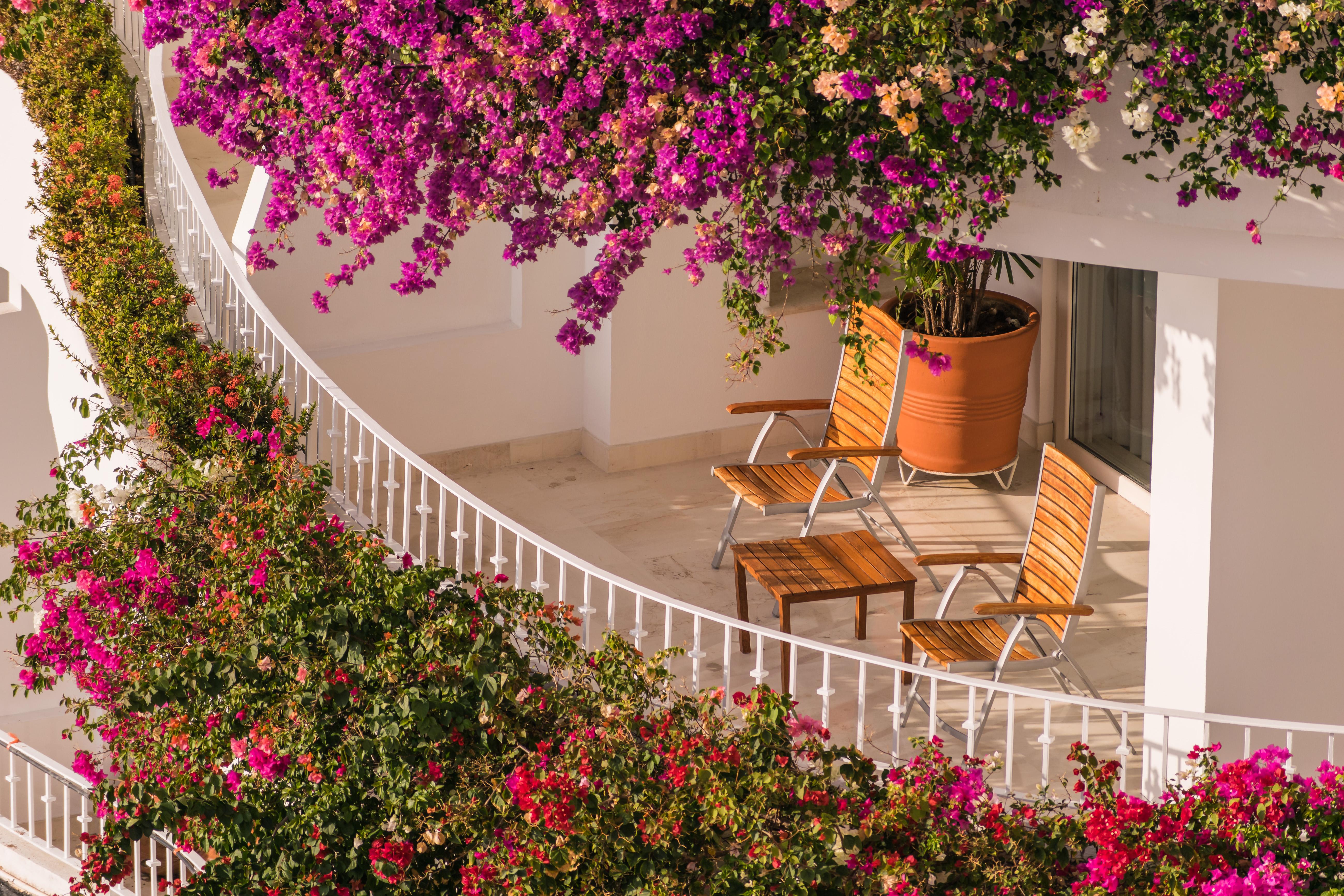 Grand Miramar All Luxury Suites&Residences Puerto Vallarta Extérieur photo