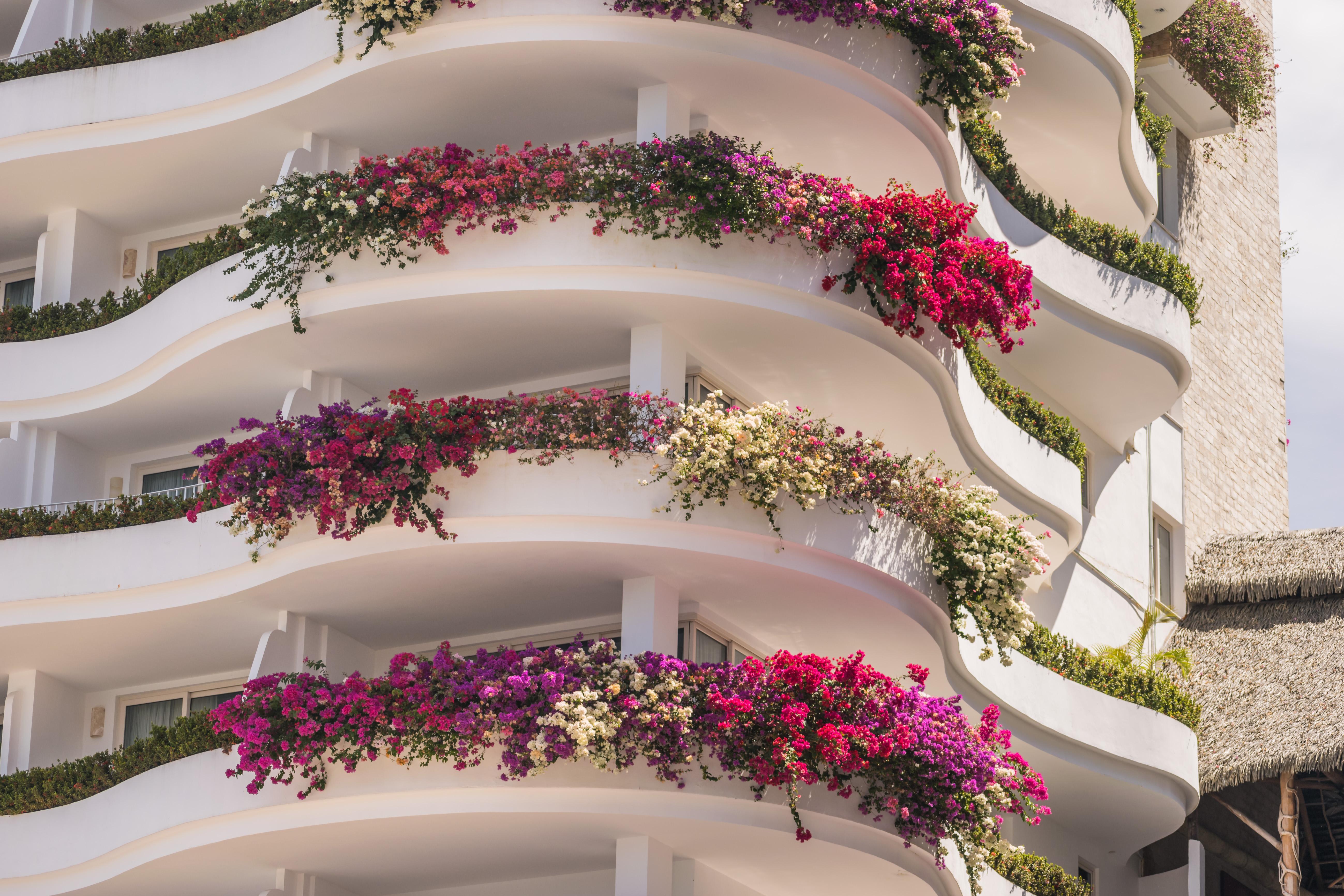 Grand Miramar All Luxury Suites&Residences Puerto Vallarta Extérieur photo