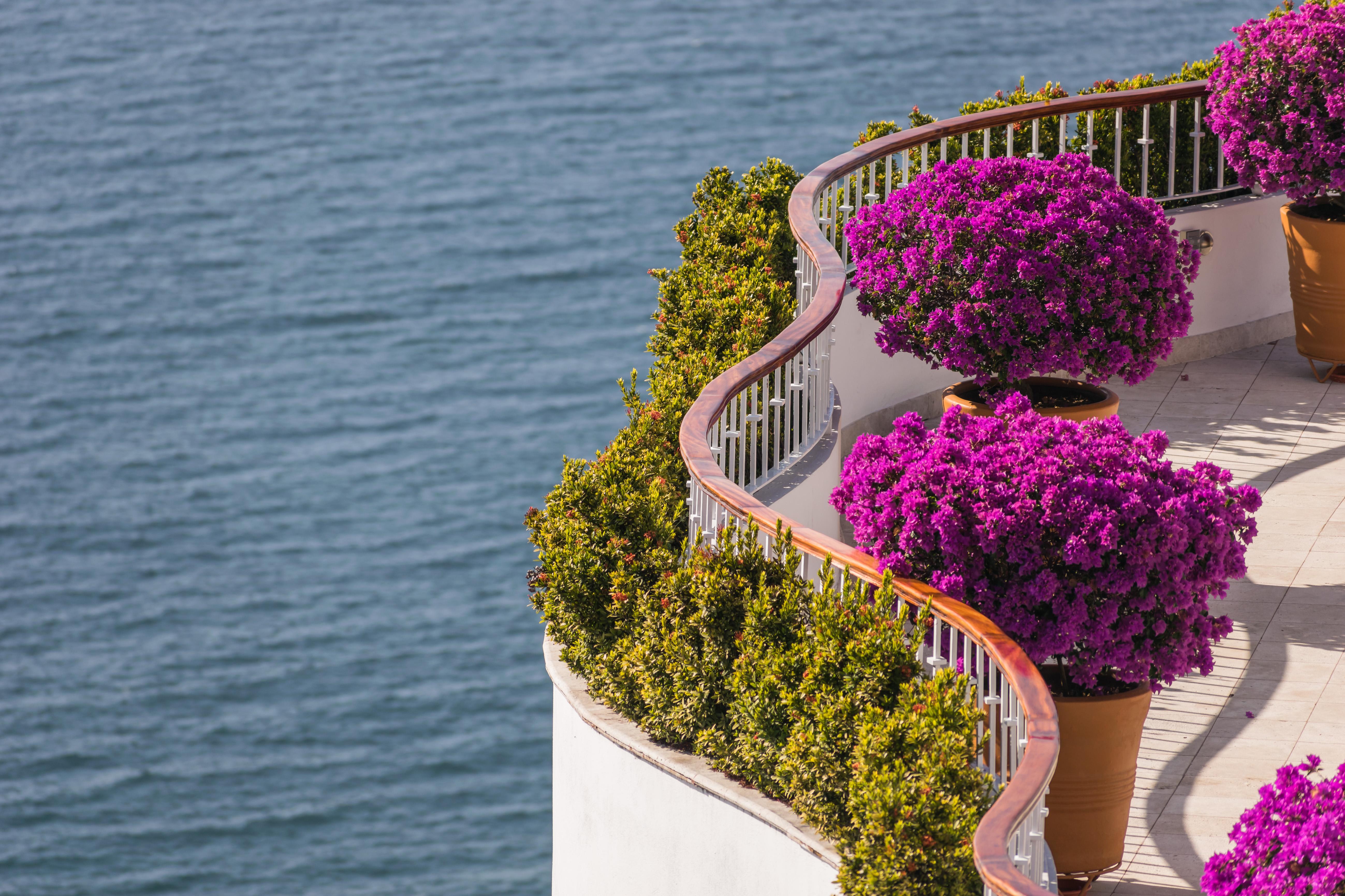 Grand Miramar All Luxury Suites&Residences Puerto Vallarta Extérieur photo