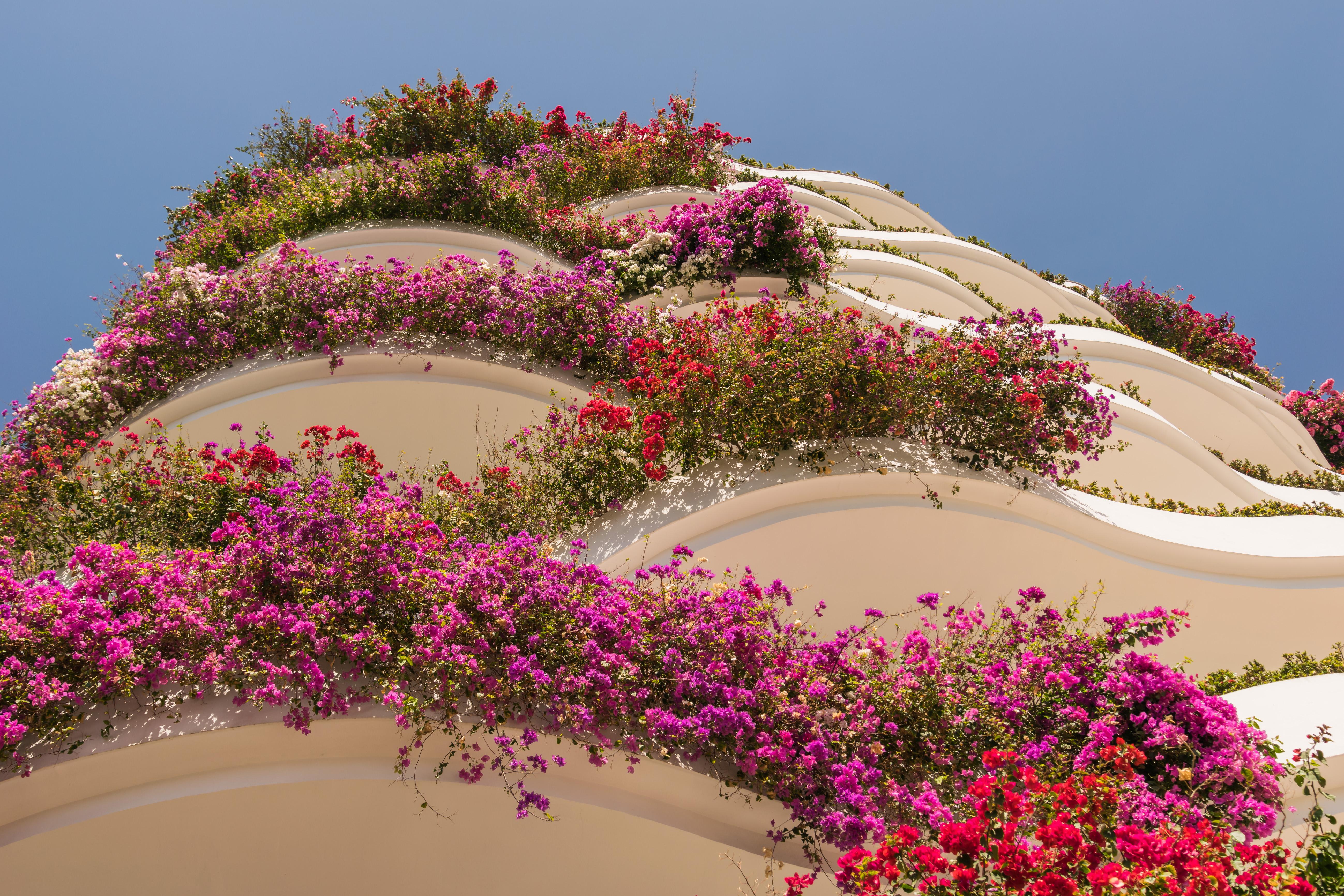 Grand Miramar All Luxury Suites&Residences Puerto Vallarta Extérieur photo
